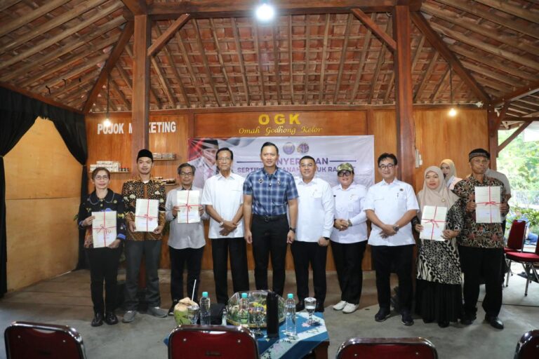 WhatsApp Image 2025-10-09 at 11.00.47