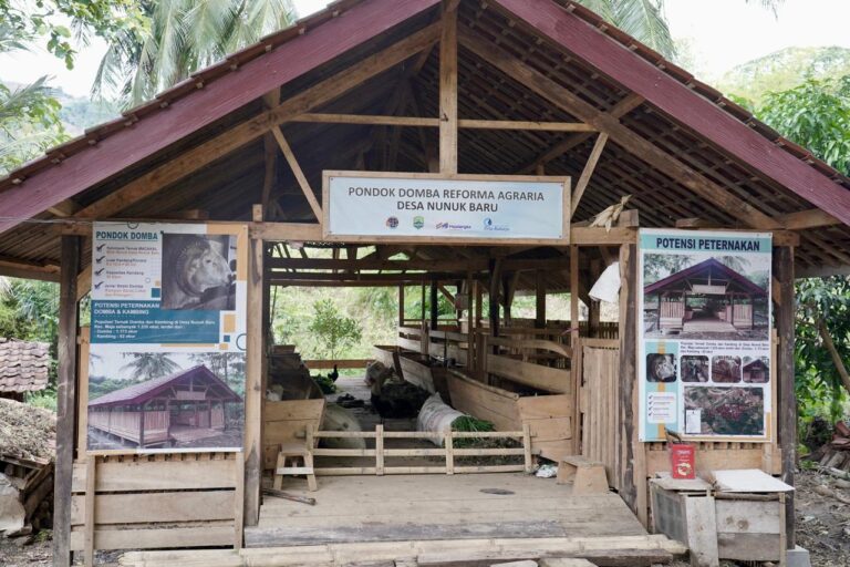 WhatsApp Image 2025-11-03 at 17.44.55