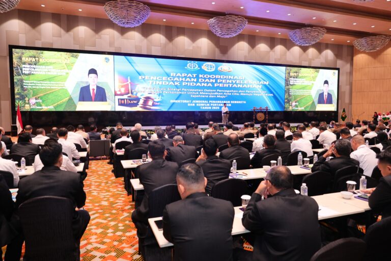 WhatsApp Image 2025-12-03 at 15.09.03