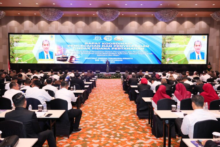 WhatsApp Image 2025-12-04 at 20.32.31