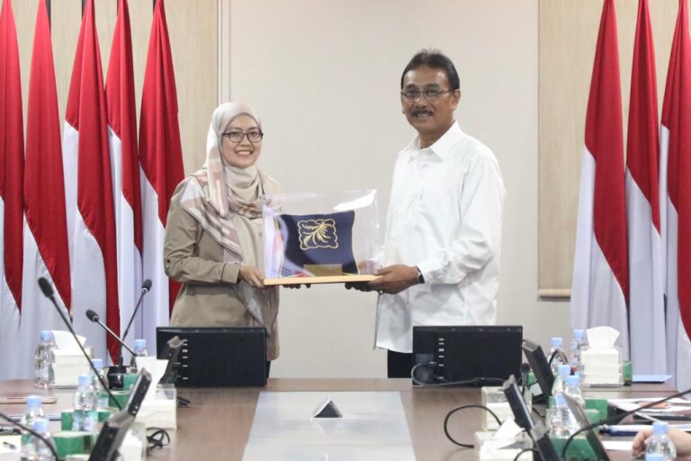 WhatsApp Image 2025-12-05 at 16.08.46