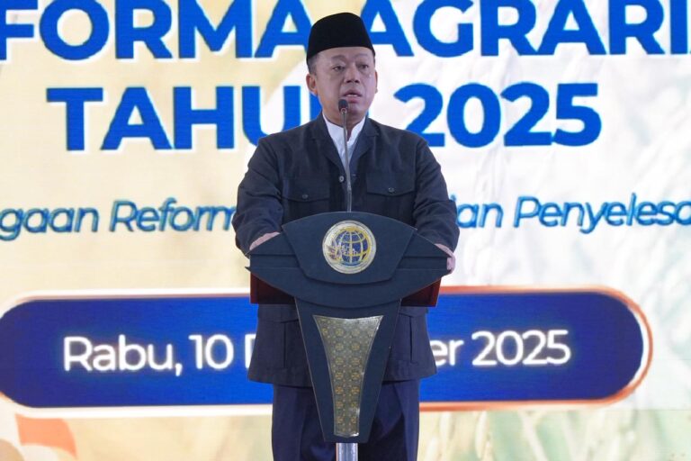 WhatsApp Image 2025-12-10 at 17.15.04