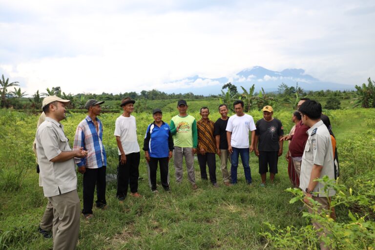 WhatsApp Image 2026-01-05 at 15.44.07