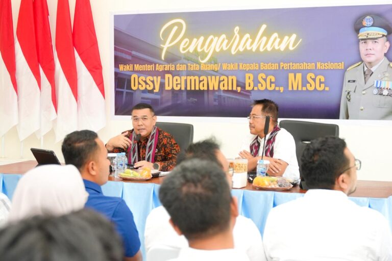 WhatsApp Image 2026-01-11 at 08.57.44