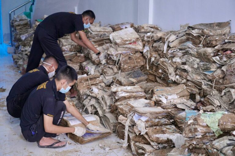 WhatsApp Image 2026-02-11 at 17.29.15