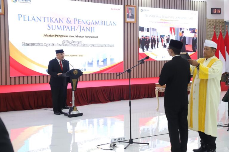 WhatsApp Image 2026-03-12 at 14.55.20