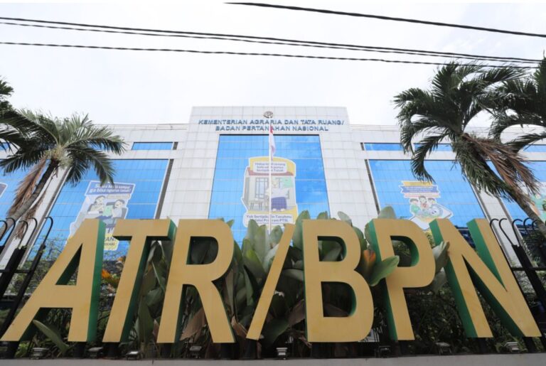 WhatsApp Image 2026-03-14 at 11.01.06